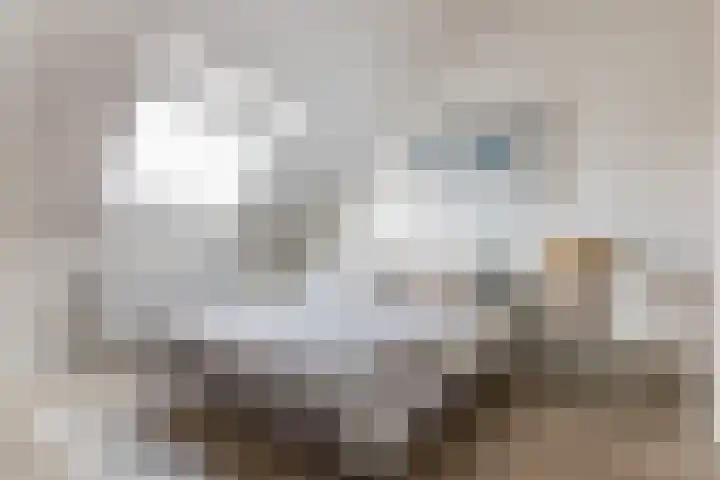 Borgerlant 14 Zuid-Scharwoude thumbnail 31