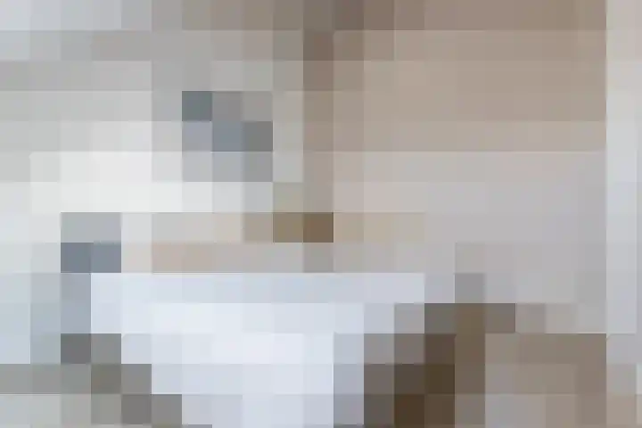 Borgerlant 14 Zuid-Scharwoude thumbnail 32