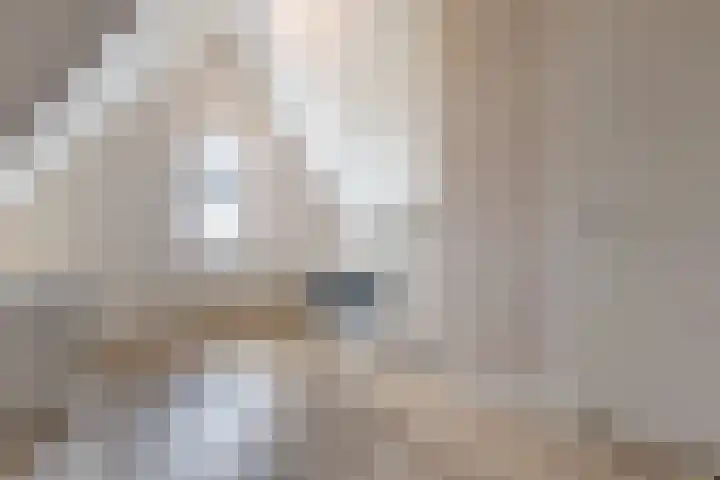 Borgerlant 14 Zuid-Scharwoude thumbnail 34