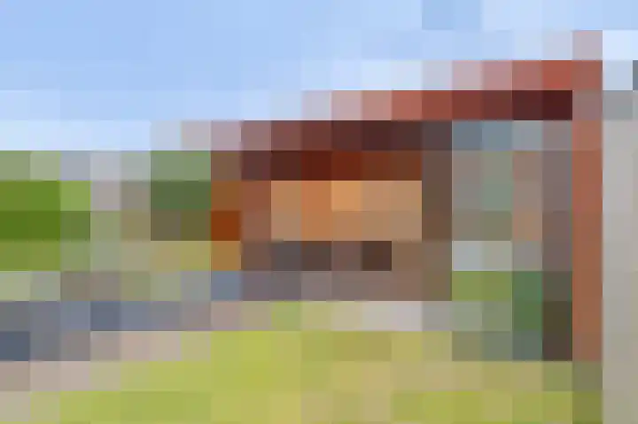 Borgerlant 14 Zuid-Scharwoude thumbnail 39