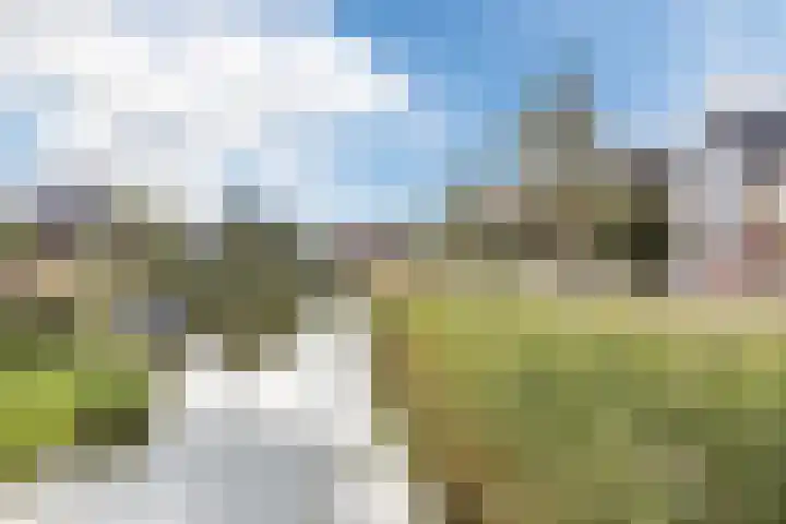 Borgerlant 14 Zuid-Scharwoude thumbnail 48