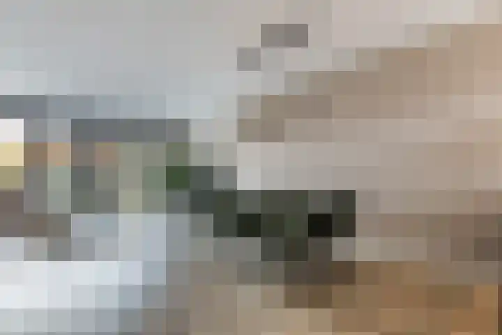 Borgerlant 14 Zuid-Scharwoude thumbnail 5