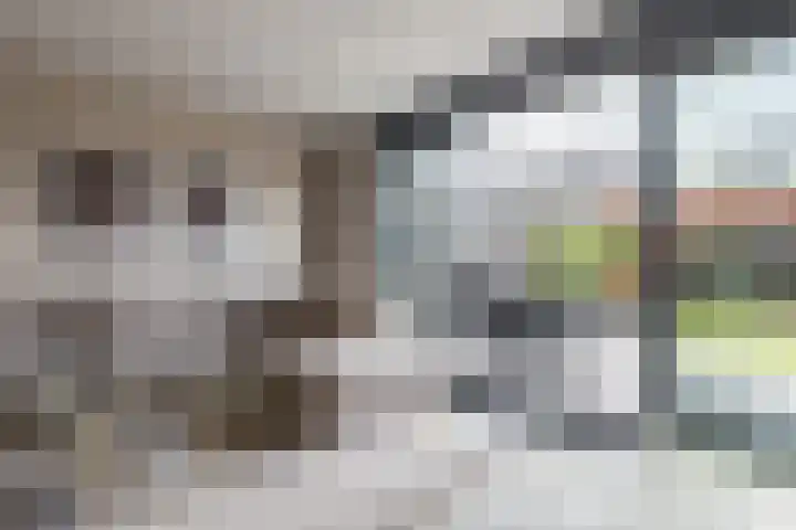 Borgerlant 14 Zuid-Scharwoude thumbnail 8