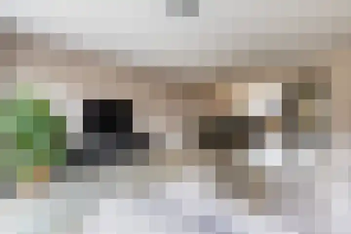 Borgerlant 14 Zuid-Scharwoude thumbnail 9