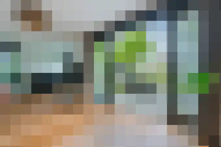 Borgerlant 19 Zuid-Scharwoude thumbnail 10