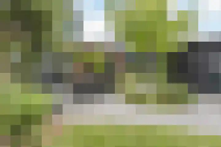 Borgerlant 19 Zuid-Scharwoude thumbnail 45