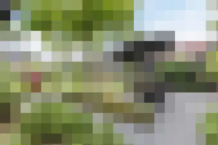 Borgerlant 19 Zuid-Scharwoude thumbnail 47