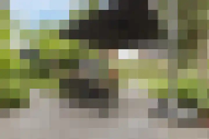 Borgerlant 19 Zuid-Scharwoude thumbnail 48