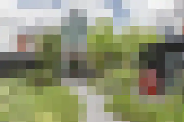 Borgerlant 19 Zuid-Scharwoude thumbnail 53