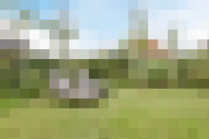 Borgerlant 19 Zuid-Scharwoude thumbnail 55