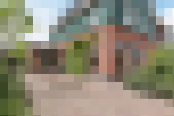 Borgerlant 19 Zuid-Scharwoude thumbnail 6
