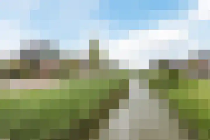 Borgerlant 19 Zuid-Scharwoude thumbnail 60