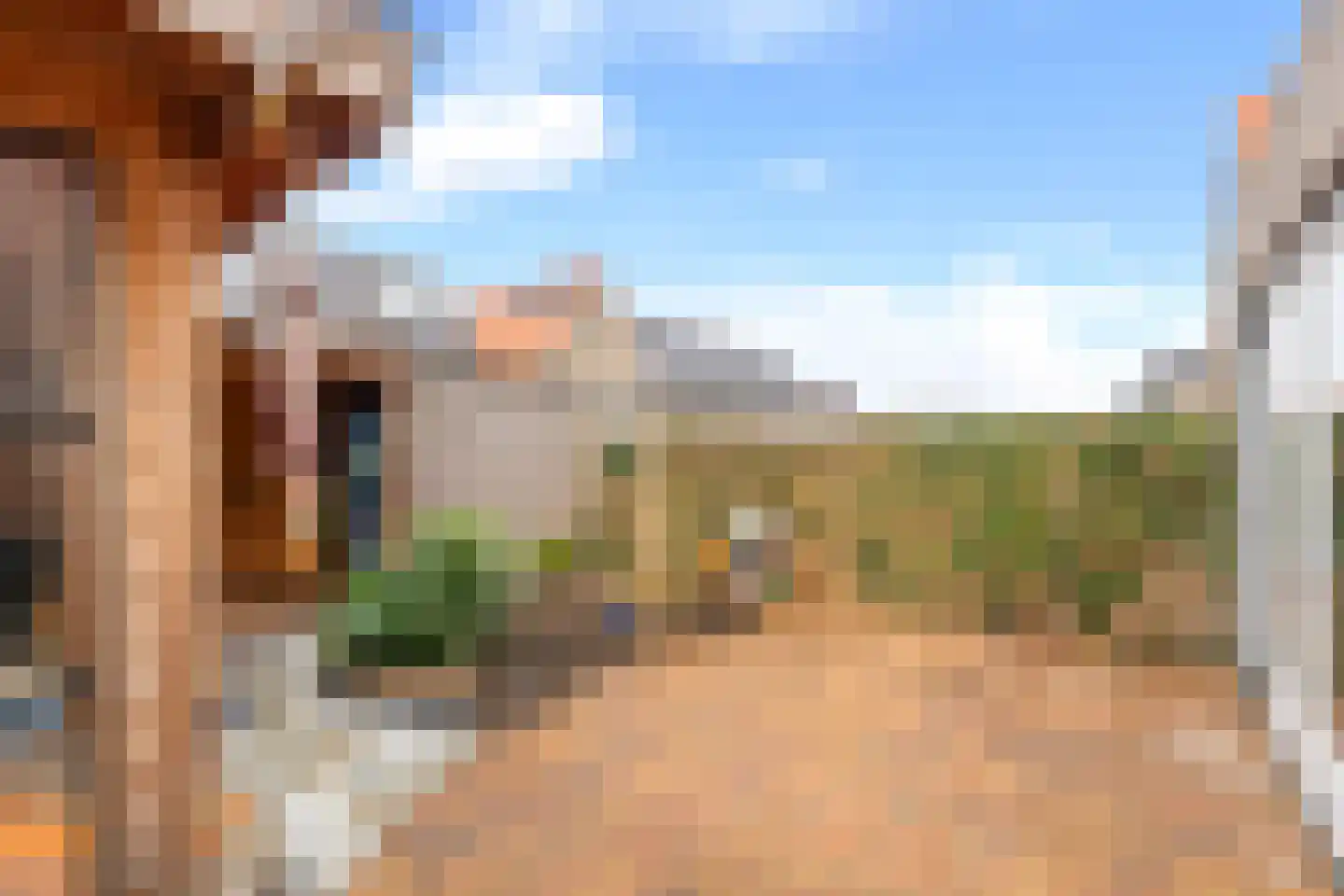 Borgerlant 6 Zuid-Scharwoude thumbnail 19
