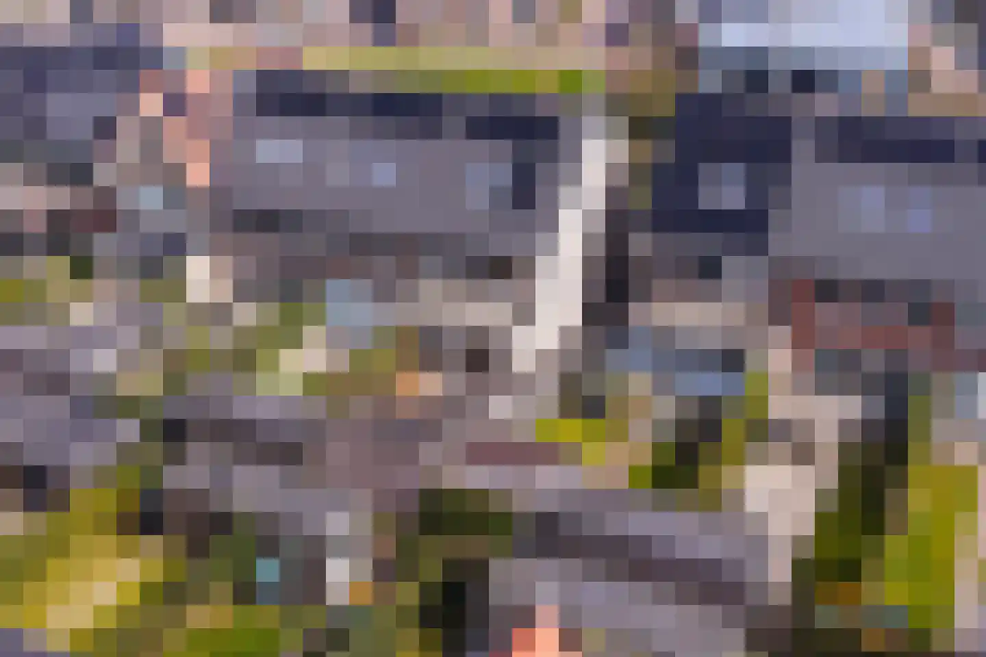 Borgerlant 6 Zuid-Scharwoude thumbnail 23