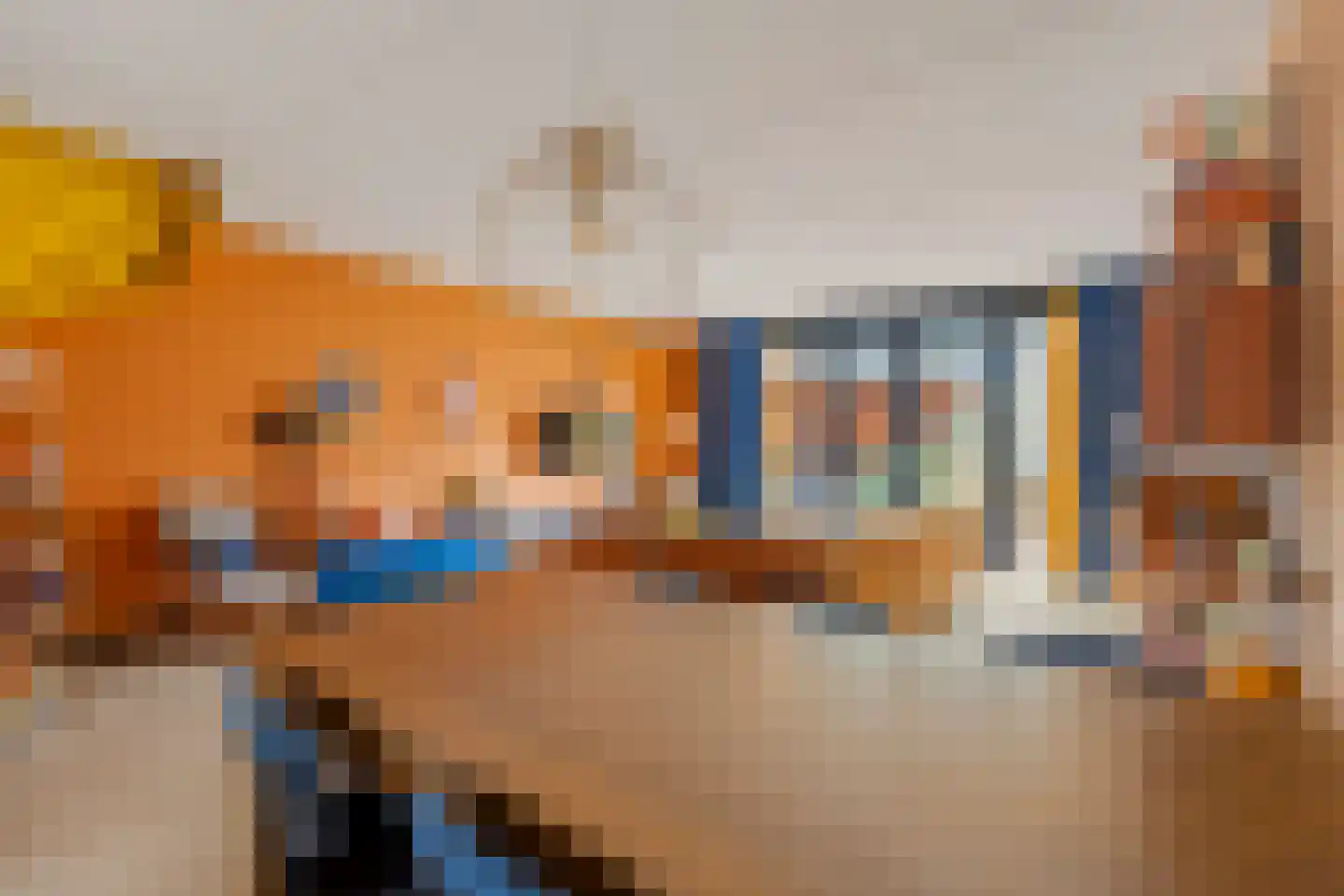 Borgerlant 6 Zuid-Scharwoude thumbnail 5