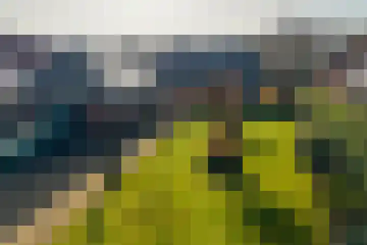 Borgerspark 106 Veendam thumbnail 30