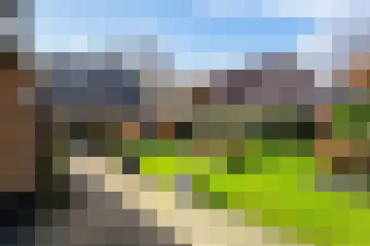 Borgerspark 106 Veendam thumbnail 38