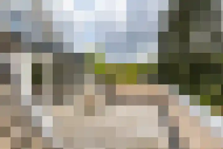 Borgerspark 79 Veendam thumbnail 34
