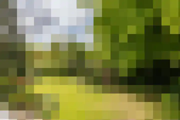 Borgerspark 79 Veendam thumbnail 35