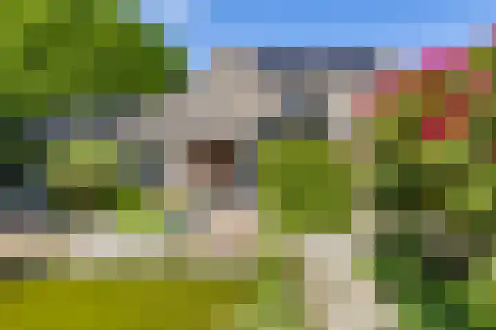 Borgerspark 79 Veendam thumbnail 5