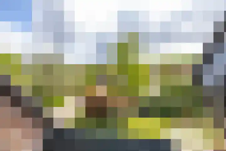 Borgerspark 79 Veendam thumbnail 50