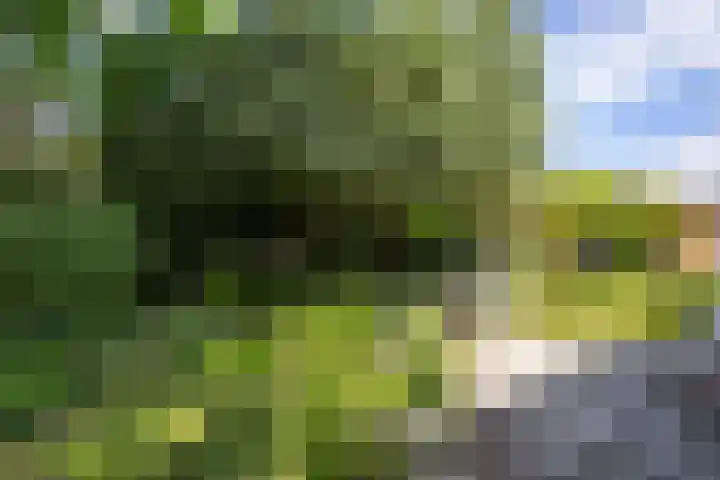 Borgerspark 79 Veendam thumbnail 57