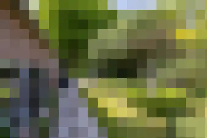 Borgerspark 79 Veendam thumbnail 58