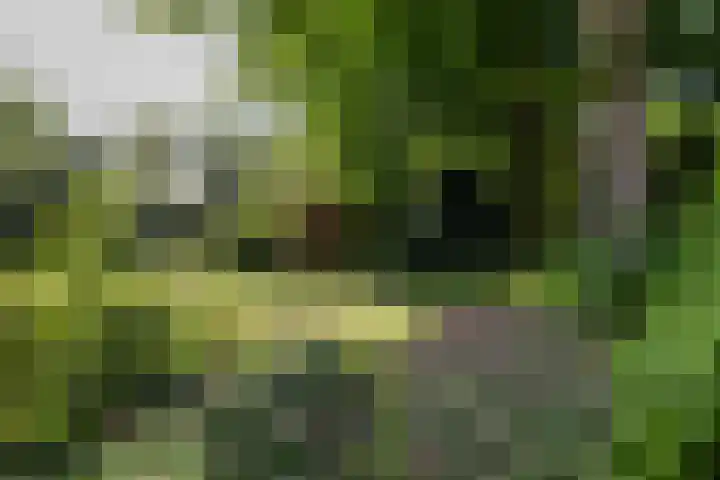 Borgerspark 79 Veendam thumbnail 60