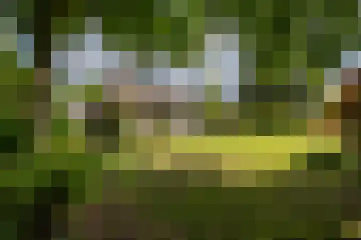 Borgerspark 79 Veendam thumbnail 61