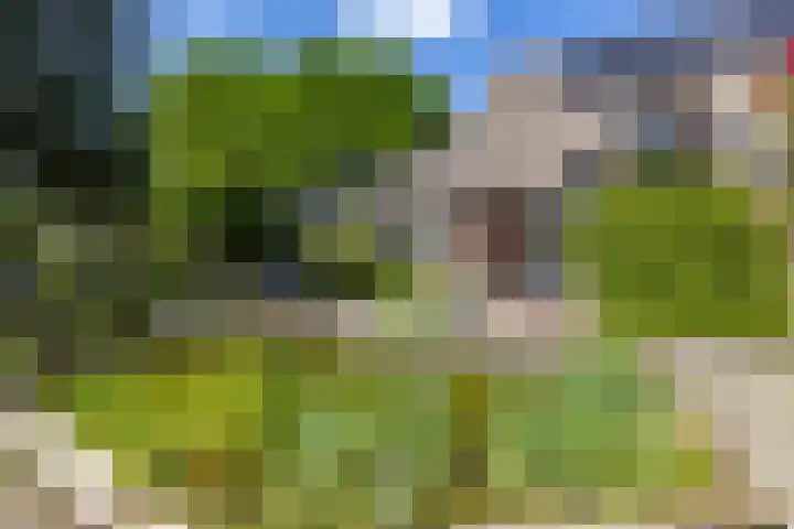 Borgerspark 79 Veendam thumbnail 63