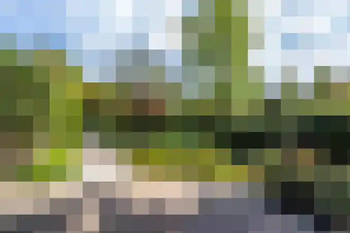 Borgerspark 79 Veendam thumbnail 64
