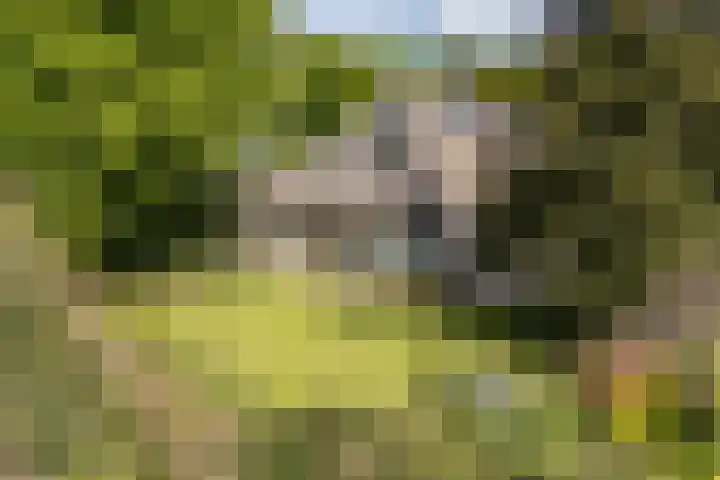 Borgerspark 79 Veendam thumbnail 65