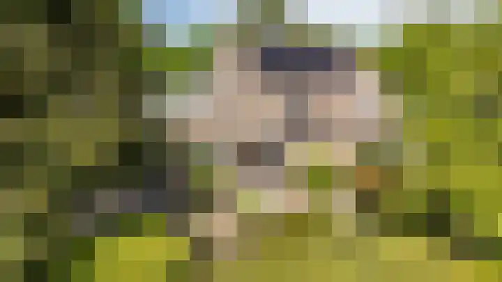 Borgerspark 79 Veendam thumbnail 66