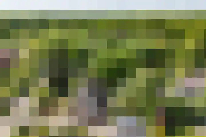 Borgerspark 79 Veendam thumbnail 69