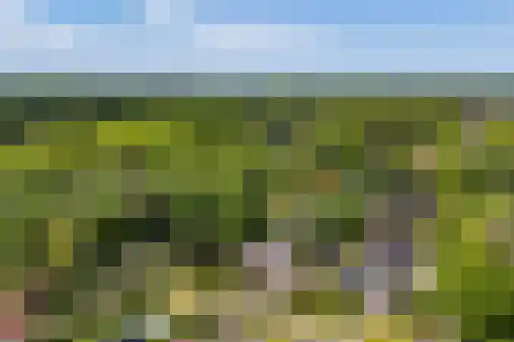 Borgerspark 79 Veendam thumbnail 70