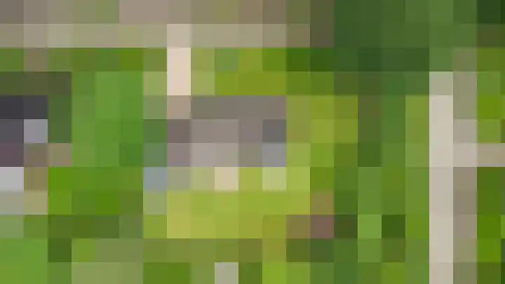 Borgerspark 87 Veendam thumbnail 4