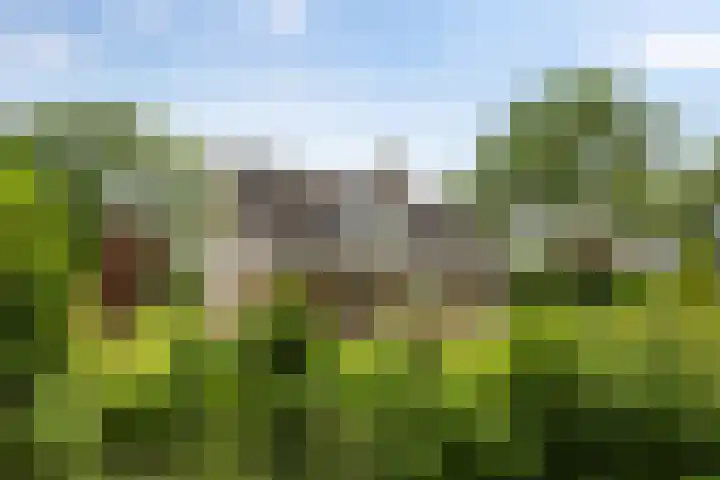 Borgerspark 87 Veendam thumbnail 5