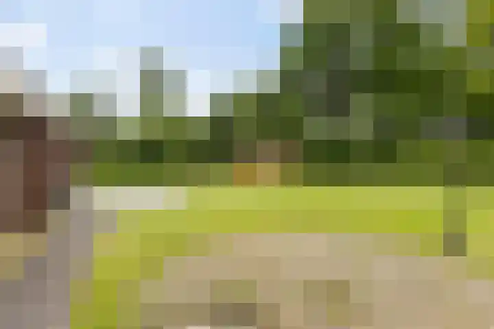 Borgerspark 87 Veendam thumbnail 7