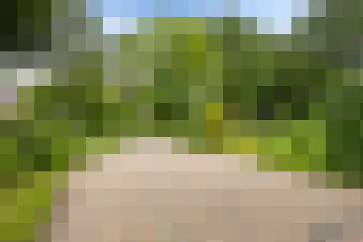 Borgerspark 87 Veendam thumbnail 8