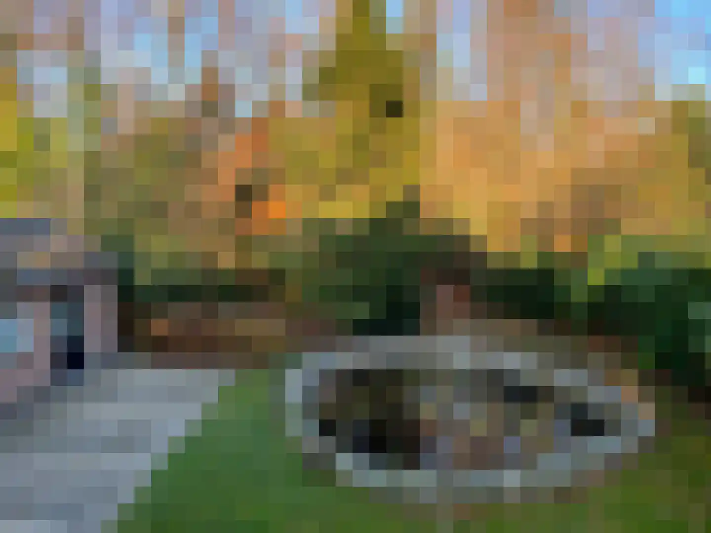 Borgersstede 12 Alphen thumbnail 23