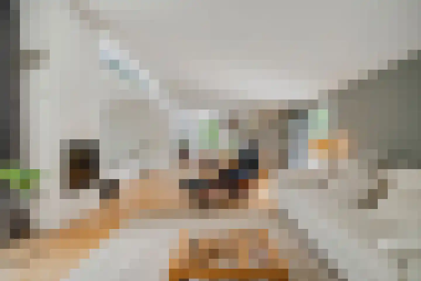 Borgersstede 17 Alphen thumbnail 17