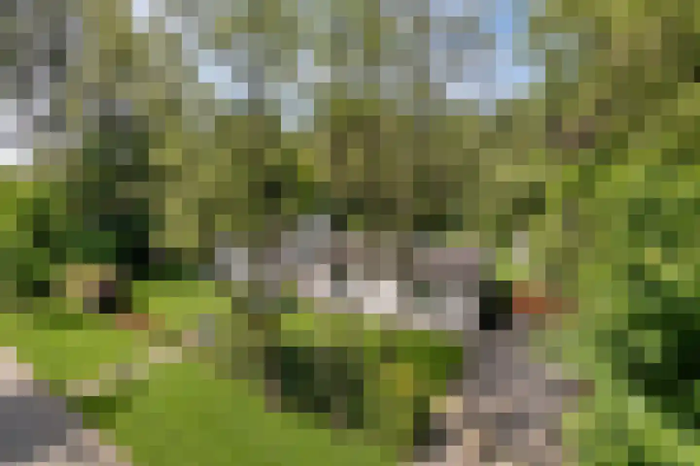 Borgersstede 17 Alphen thumbnail 4