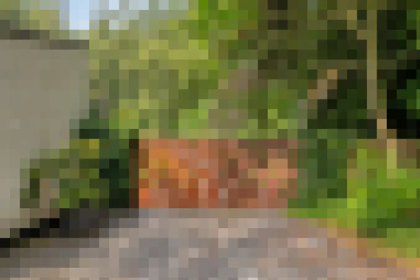 Borgersstede 17 Alphen thumbnail 53