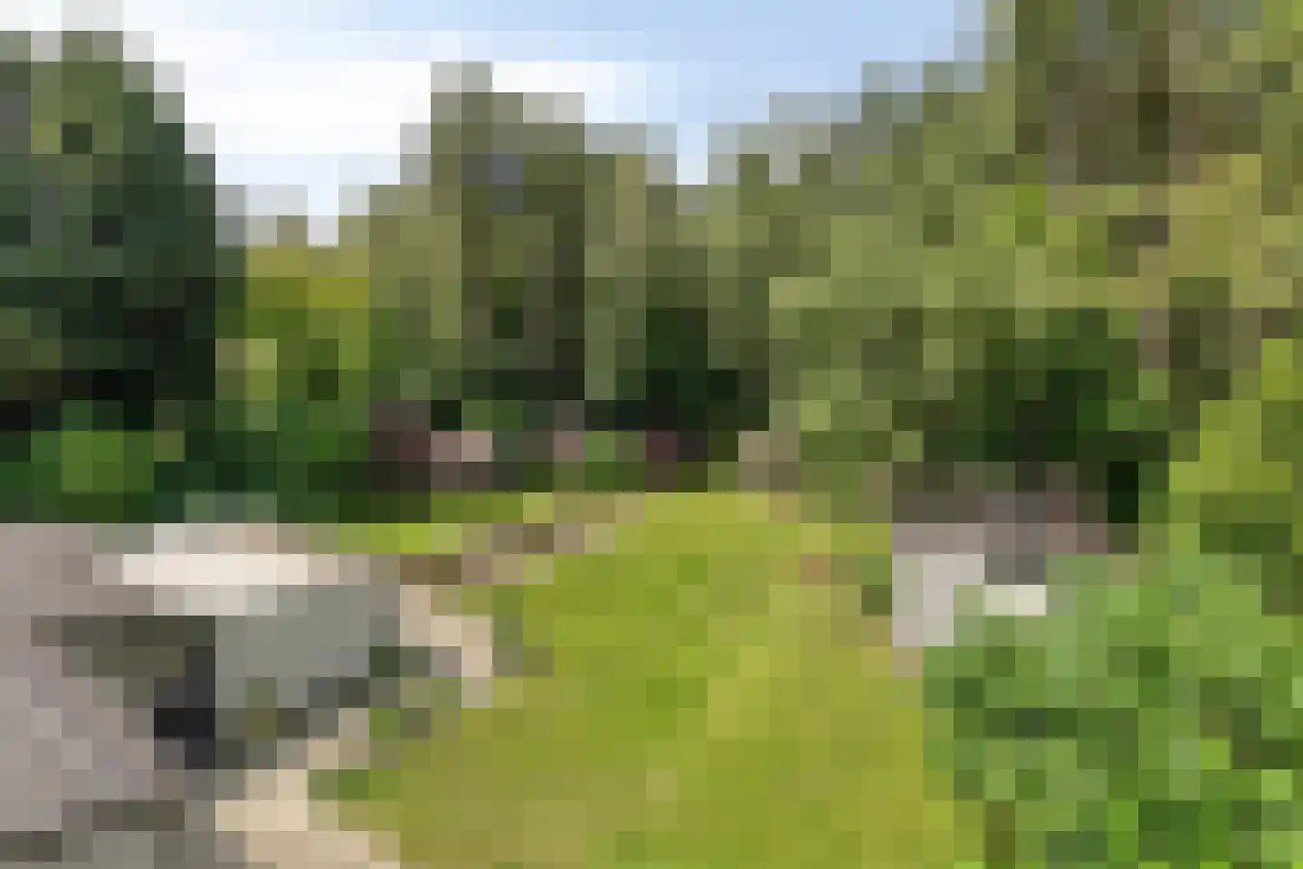 Borgersstede 17 Alphen thumbnail 54