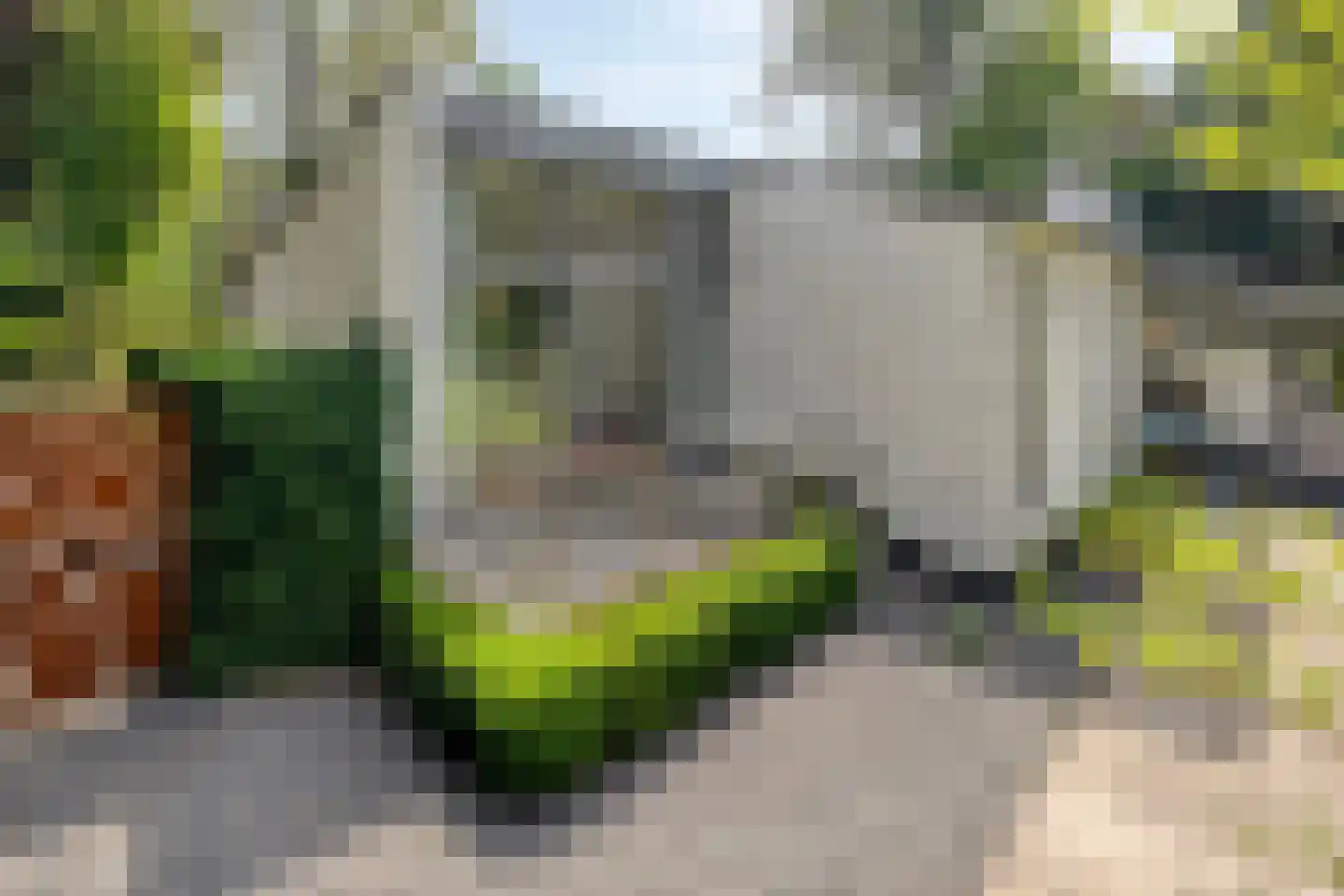 Borgersstede 17 Alphen thumbnail 56