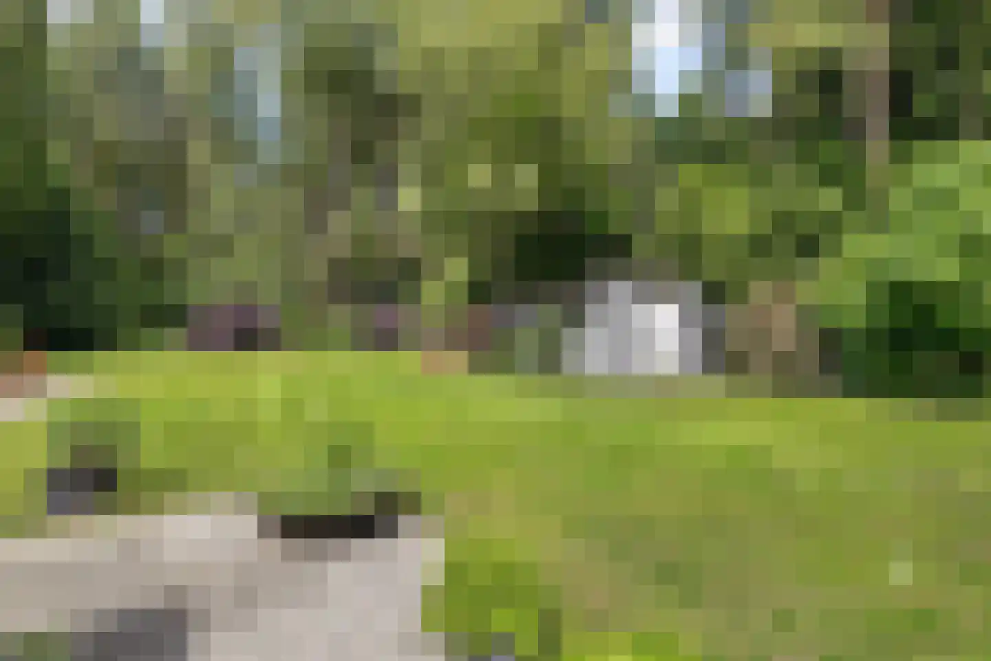 Borgersstede 17 Alphen thumbnail 58