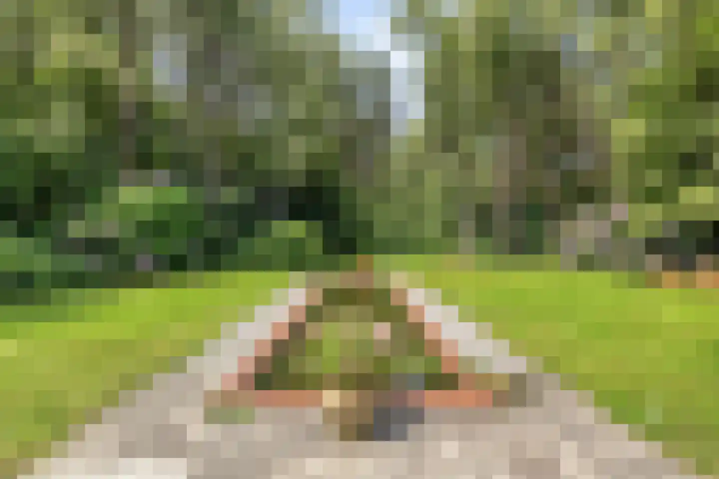 Borgersstede 17 Alphen thumbnail 59