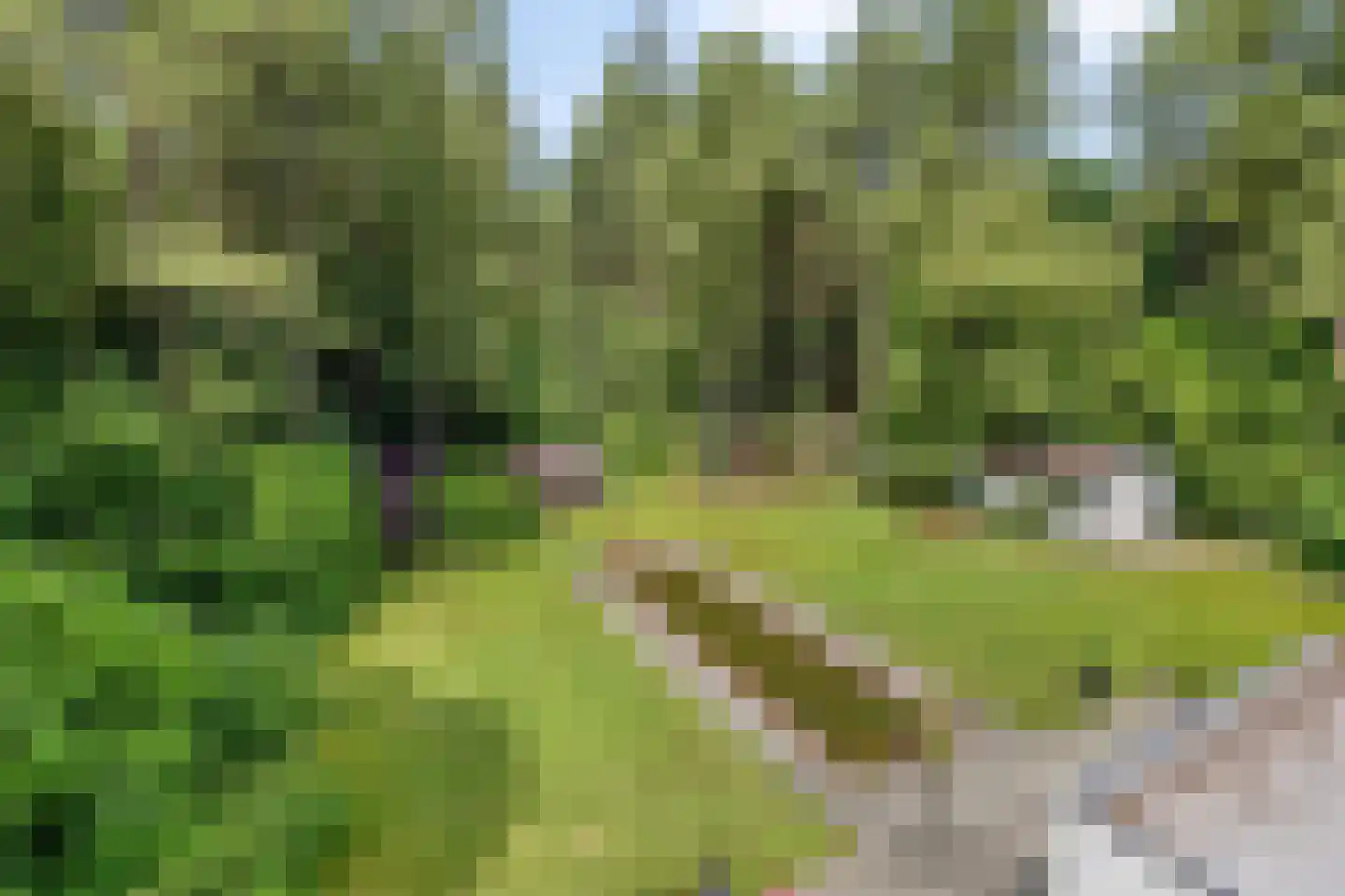 Borgersstede 17 Alphen thumbnail 64