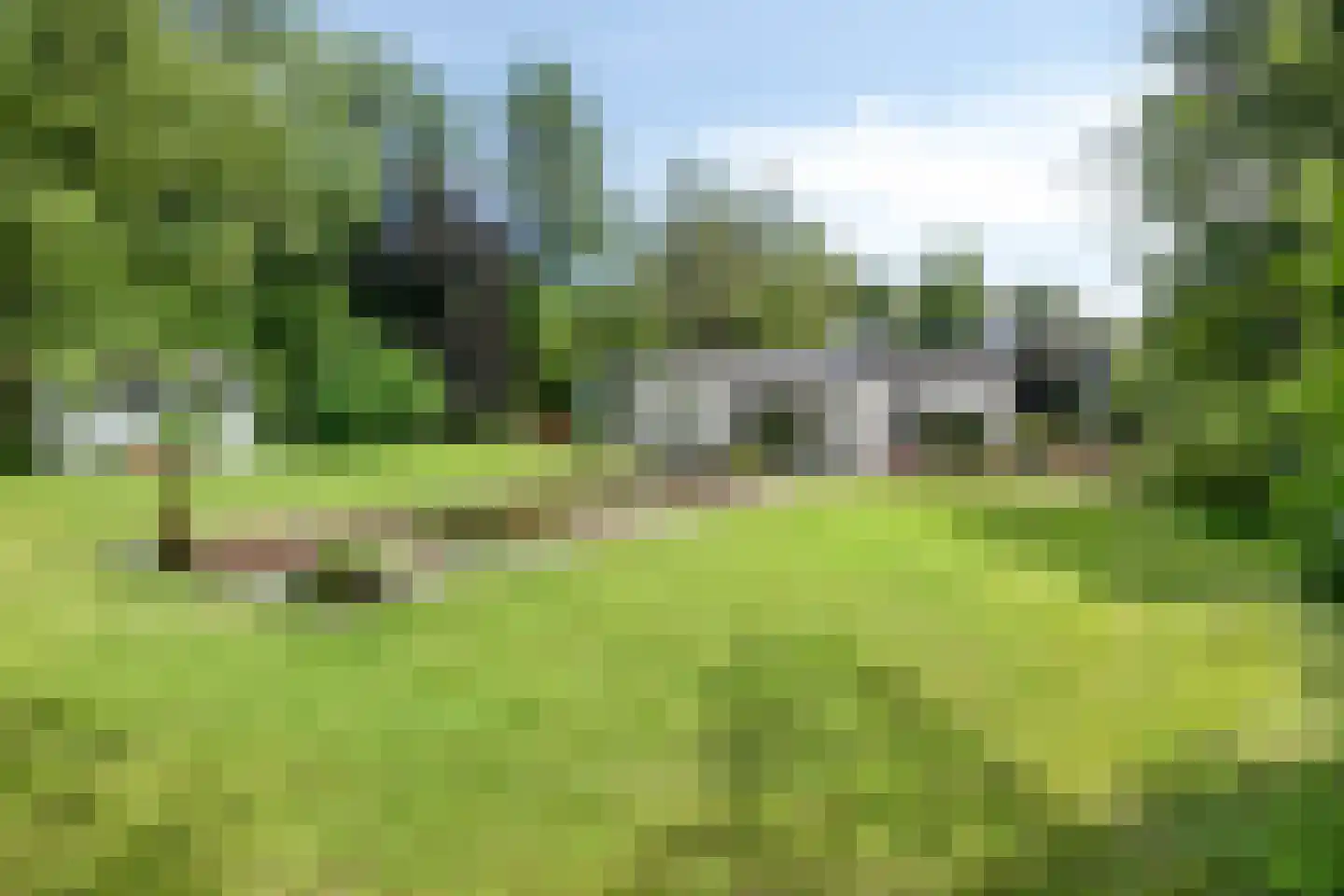 Borgersstede 17 Alphen thumbnail 65