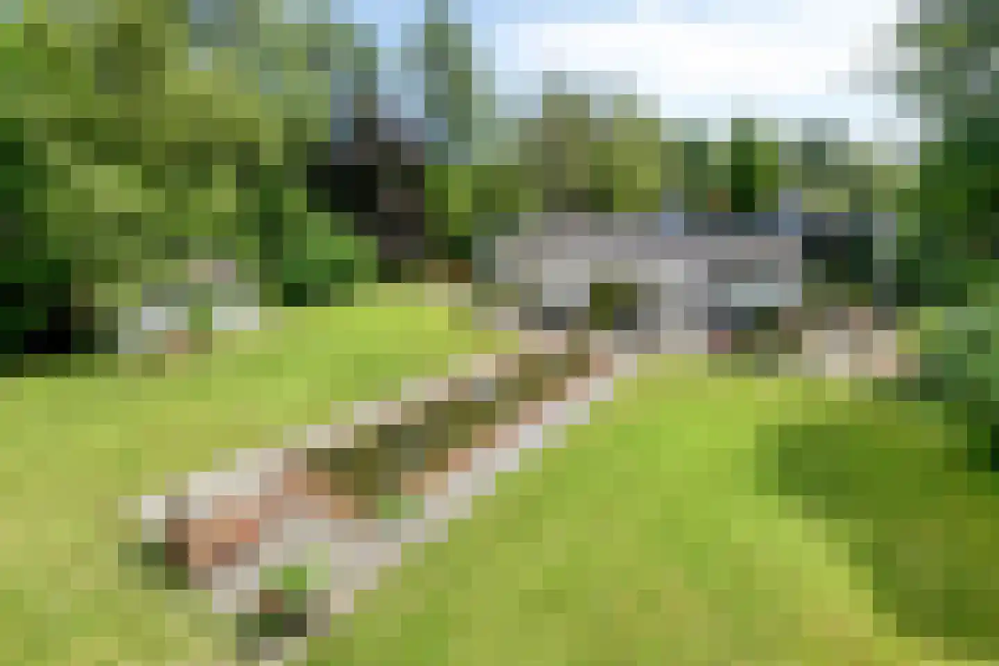 Borgersstede 17 Alphen thumbnail 66
